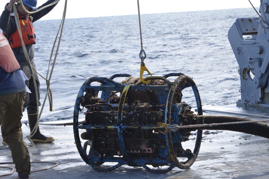 The near-surface instrument frame (NSIF) which holds a number of instruments, turned black with slime after spending six months below the surface.  The discoloration is caused by marine life using the NSIF as a home base.  All components of the mooring were similarly inhabited and made for a fairly odiferous back deck. 