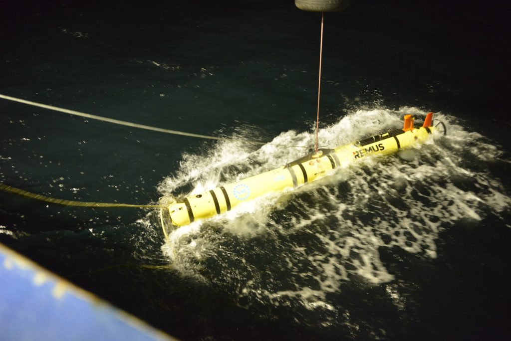 The Autonomous Underwater Vehicle (AUV) Scotland 
samples a pre-programmed route for 24 hours traveling between the Pioneer Moorings.  Scotland is equipped with instrumentation that measures dissolved oxygen, fluorescence in the water, CTD (Conductivity, temperature, and depth), nitrate, photosynthetically active radiation, and velocity. 