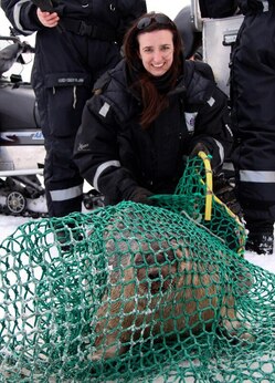 michelle-with-ringed-seal-504553