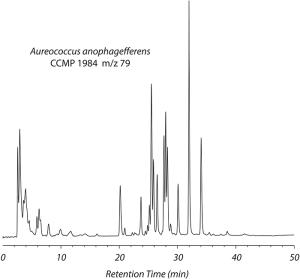 HPLC trace of DOP in spent culture media from the brown tide algae Aureococcus anophagefferens.