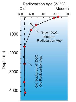 The distribution of DOC radiocarbon with depth in the water column.