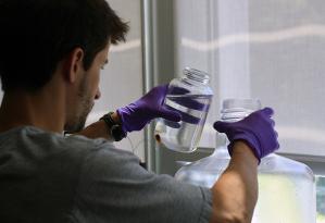 Joint Program student Jamie Becker prepares to separate cells from media of the diatom Phaeodactylm tricornutum.