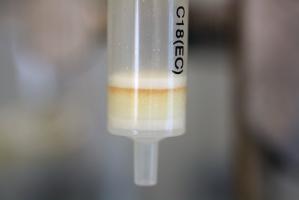 Solid phase extraction of the P. tricornutum spent media.