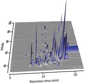 A typical HPLC-MS plot of data, showing chromatographic retention time on the horizontal axis, mass going back into the page, and intensity on the vertical axis