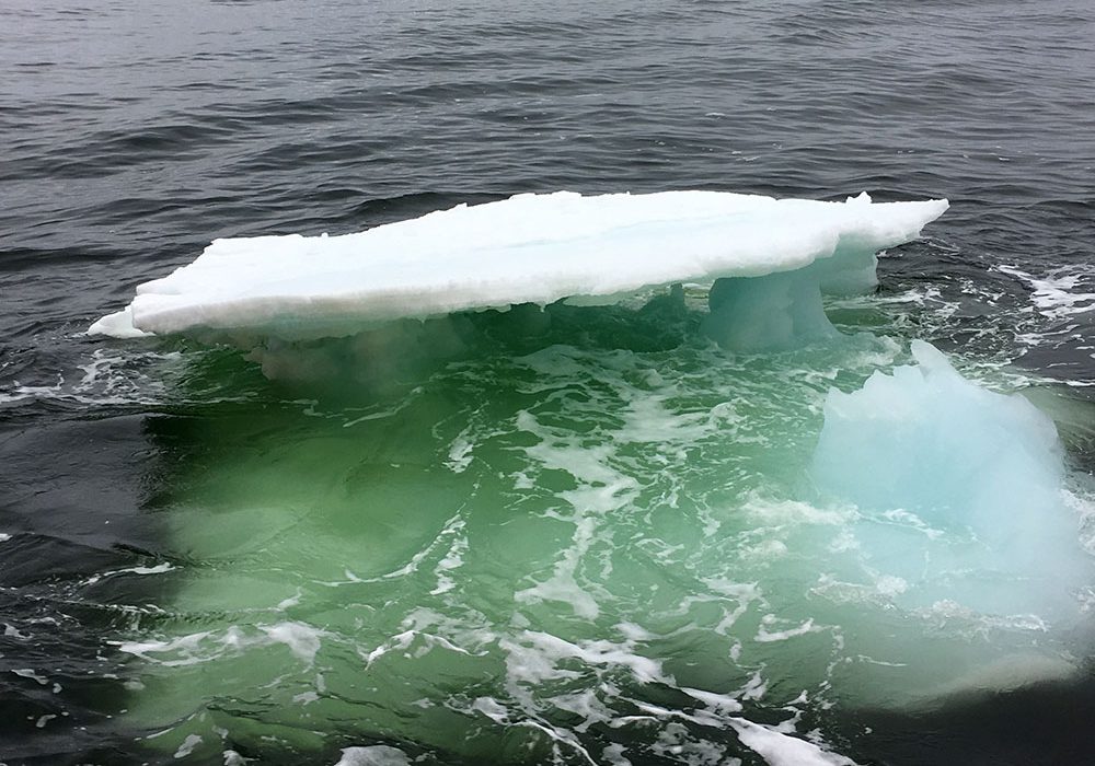 iceberg