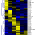 zf_developmental_gene_expression