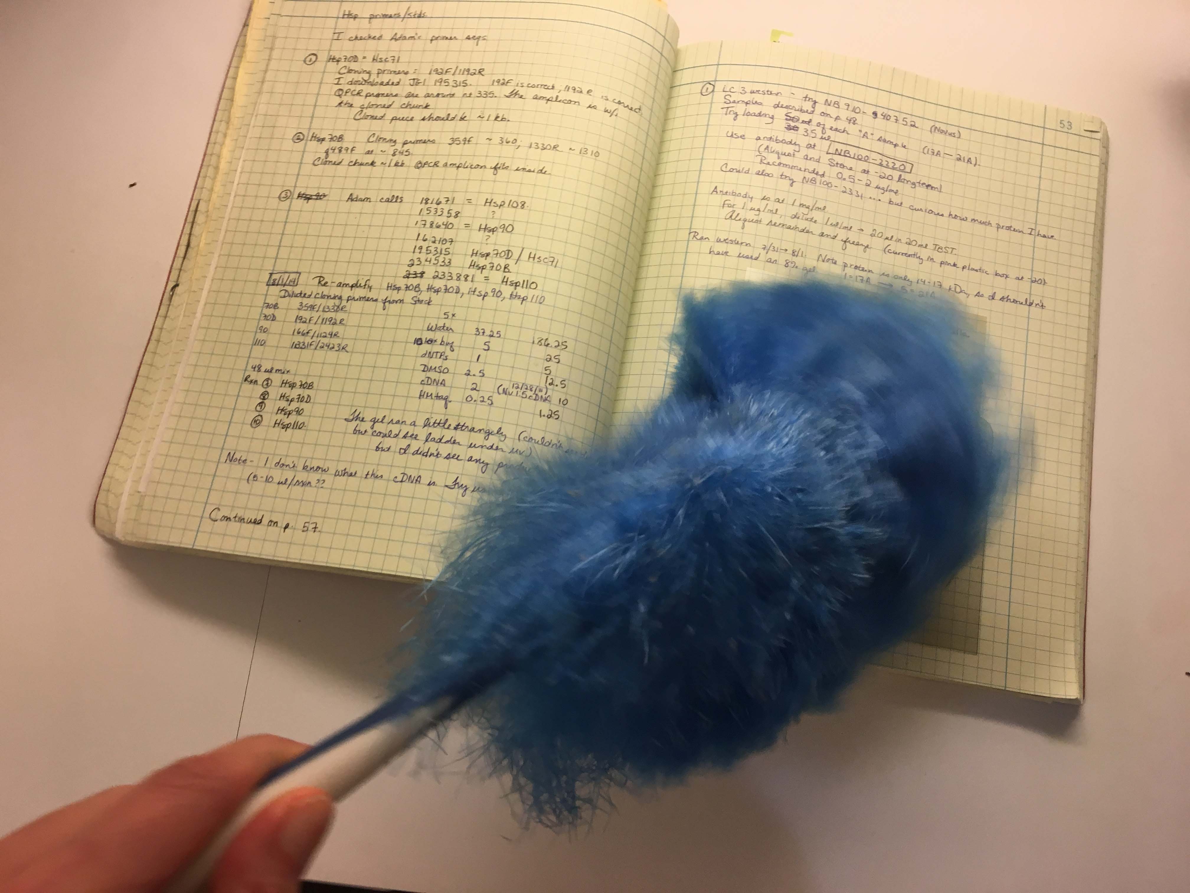 Dusting off the data The Tarrant Lab