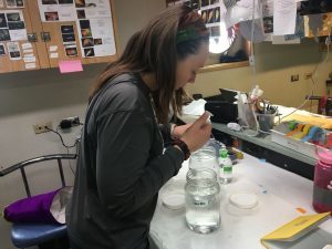Tricia preparing to measure pteropod respiration in the lab.