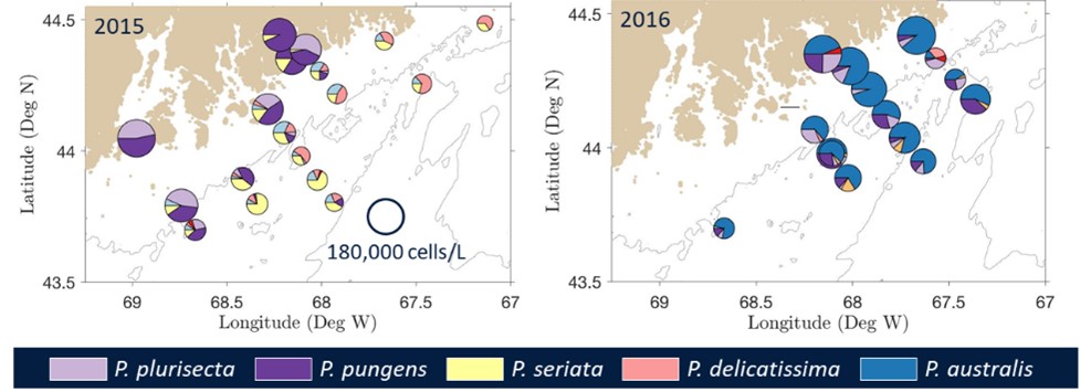 Fig. 1. ARISA-based Pseudo-nitzschia species abundance in (left) 2015 and (right) 2016. Pie size scaled by log(cell count) (scale in left panel). From [1]