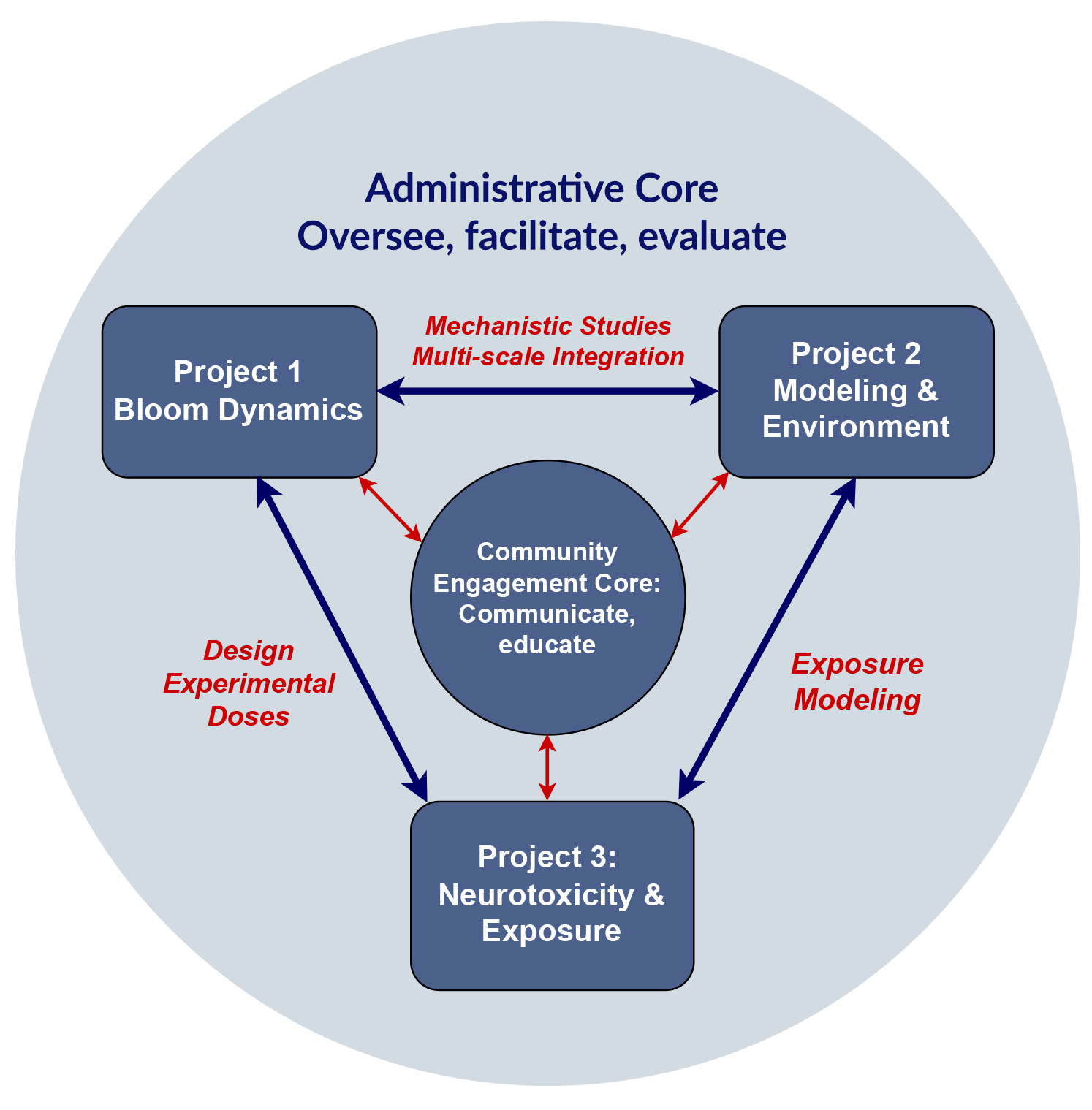 WHCOHH-new organizational diagram