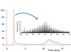 characterize marine organic matter