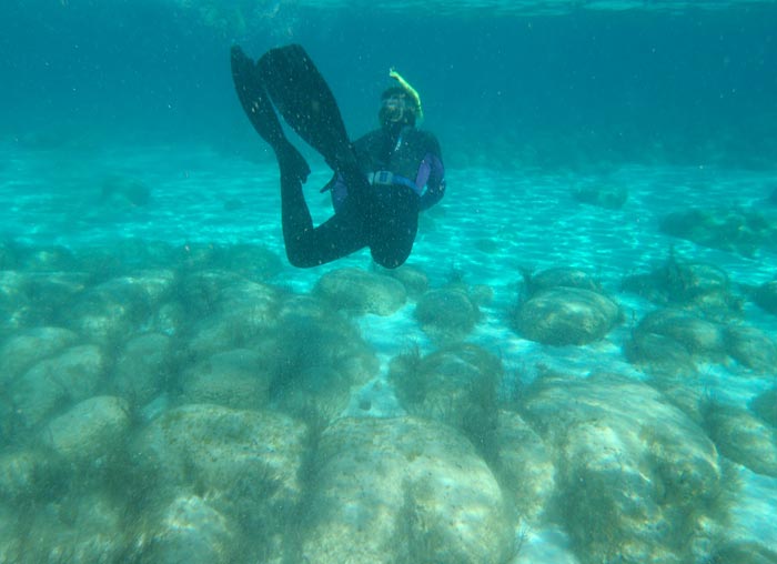 Shark Bay, Australia