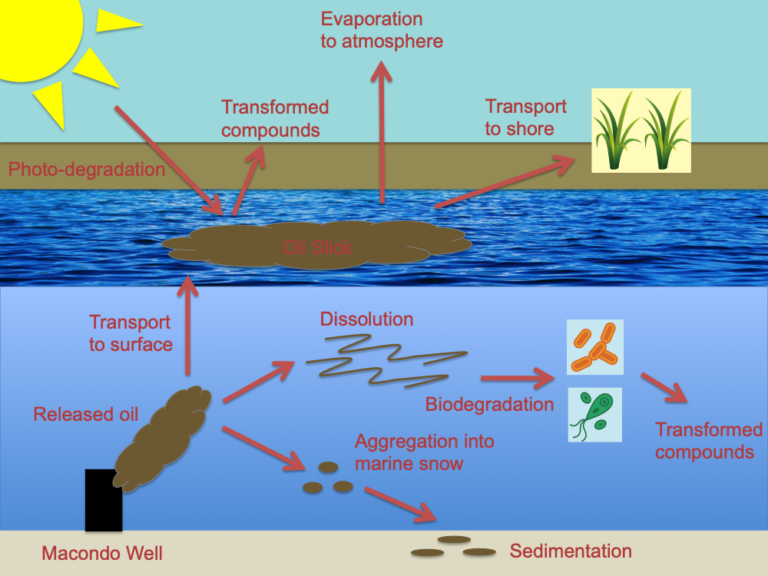 What is chemical fate? – Some Notes on Environmental Chemistry from ...