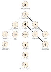 A portion of the kinship network surrounding a Focal individual.