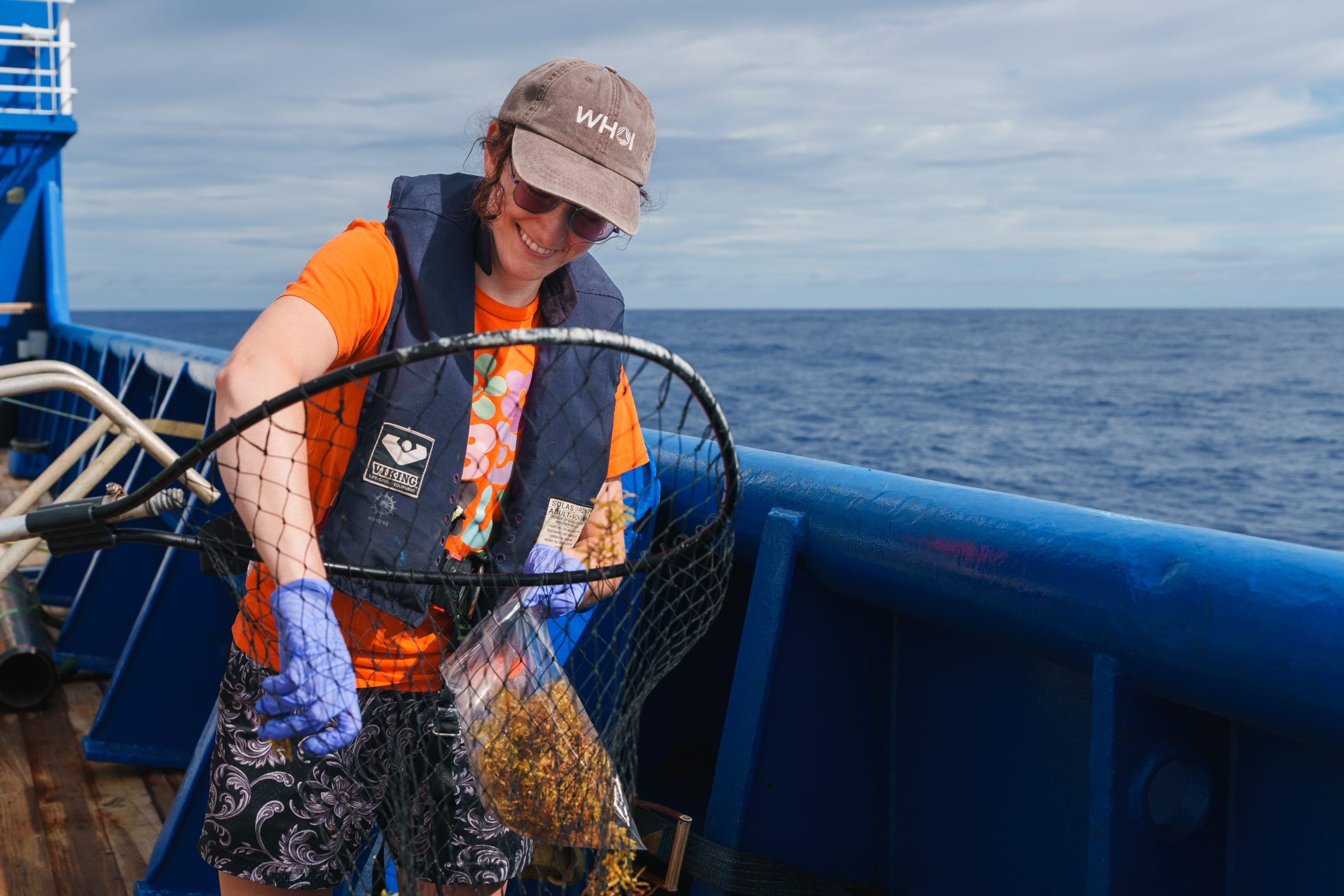 Hilde Oliver (Scientist, Woods Hole Oceanographic Institution) collects samples of sargassum from the side of the ship. Although now incredibly prevalent in this area, as recently as 2010 there was little to none in this part of the world. Scientists are keen to understand what has caused this change.

Photo credit: Alex Ingle /Schmidt Ocean Institute