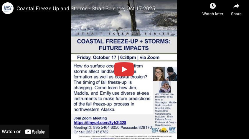 Screenshot Strait Science