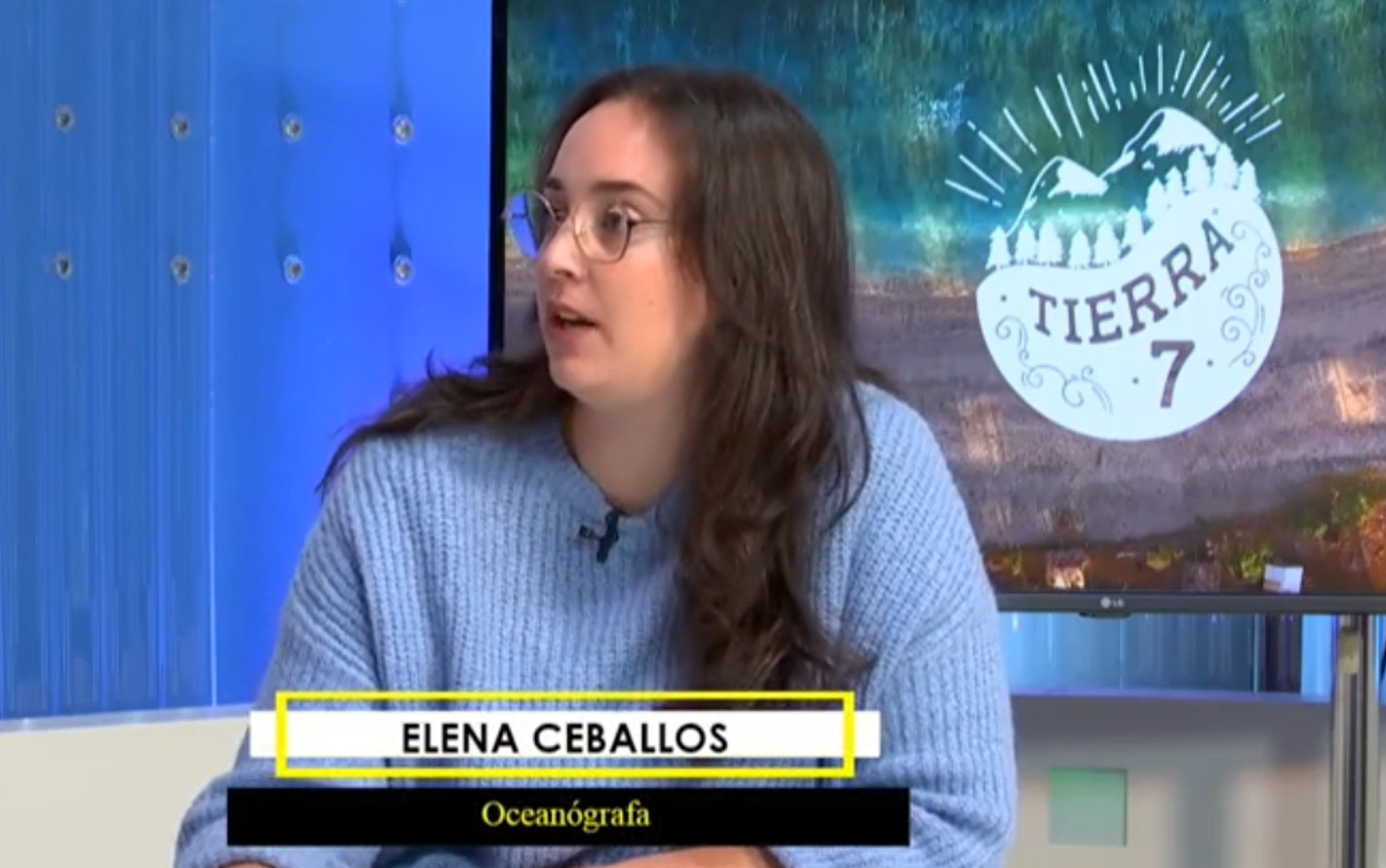 Captura de pantalla 2026-01-14 224216