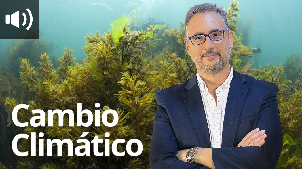 Captura de pantalla 2026-01-26 120507