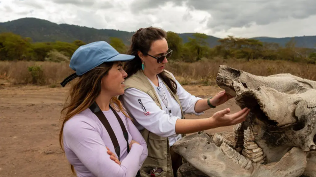 Captura de pantalla 2026-02-23 123207