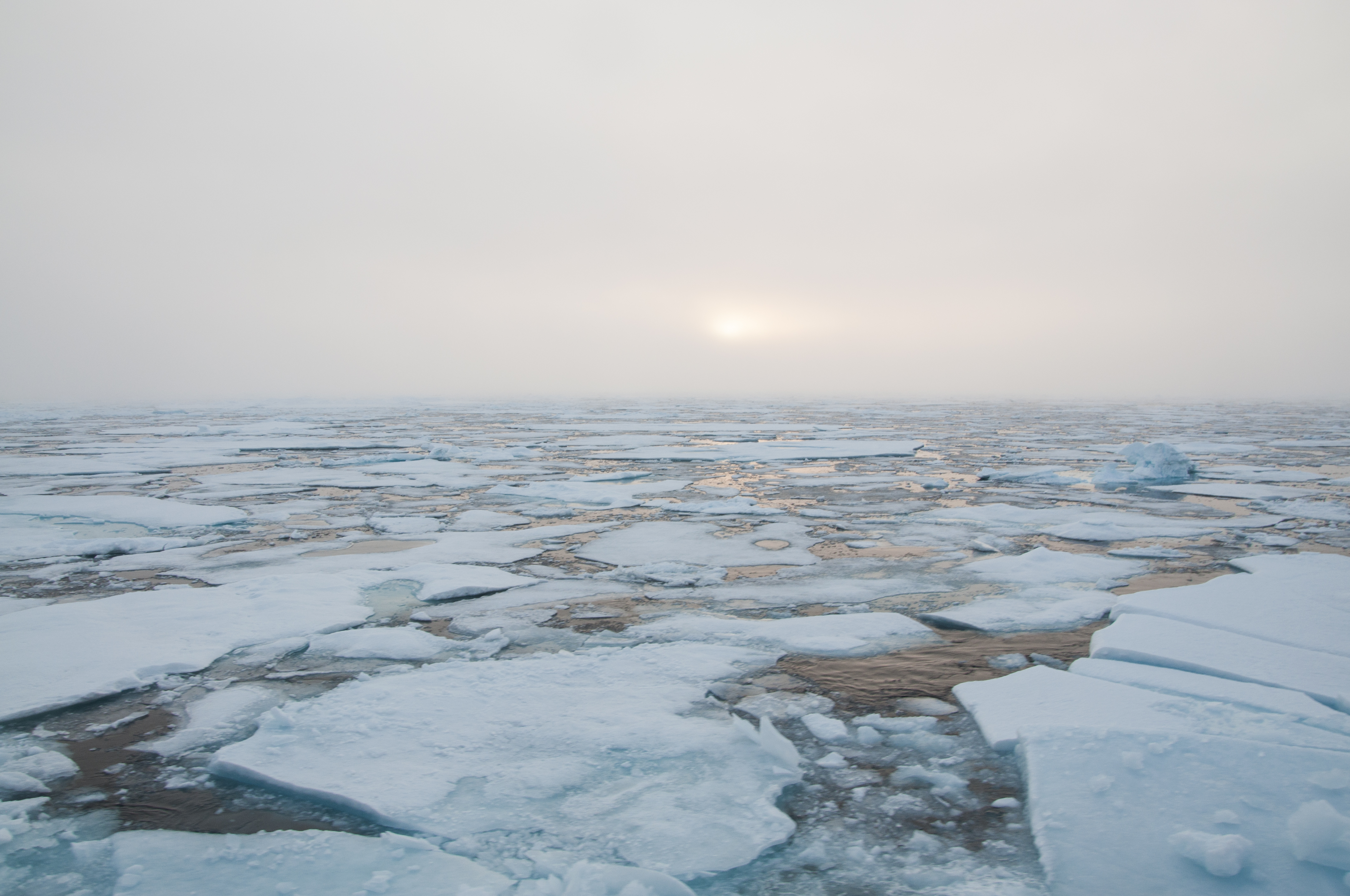 2018 Healy Chukchi/Beaufort