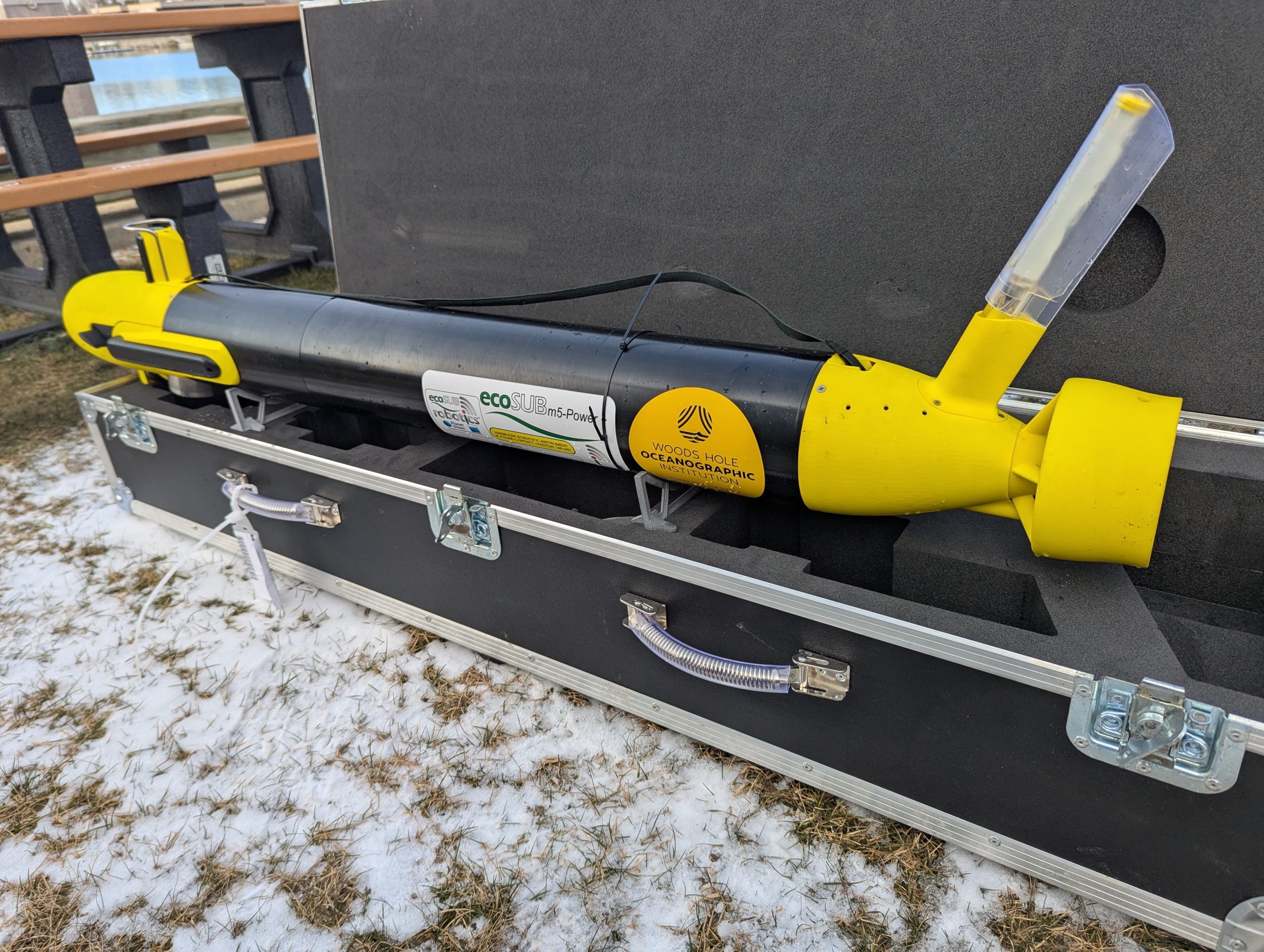 PXL_20250123_184740459