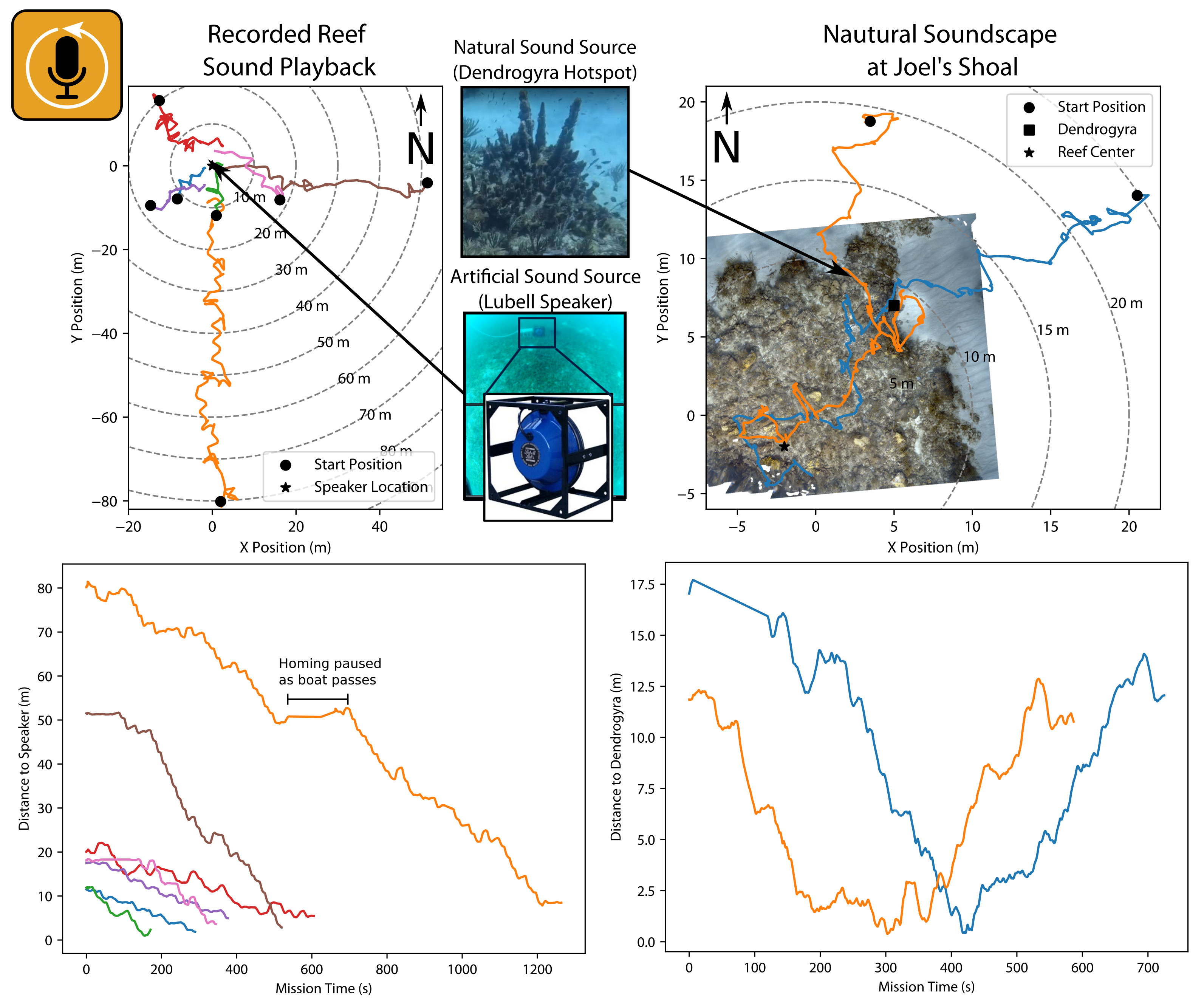 Demonstration of acoustic homing on biological sound sources.  Initial tests (left) used speaker playback of recorded reef soundscapes, while tests on Joel's Shoal Reef (right) used the natural soundscape.